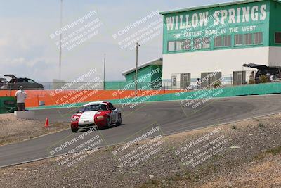 media/May-03-2025-Lucky Dog Racing (Sat) [[206de64b9d]]/Turn 4 B (1150am-130pm)/
